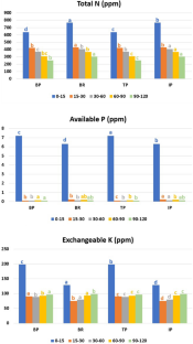 Consortium of Management Practices in Long-Run Improves Soil Fertility and Carbon Sequestration in Drylands of Semi-Arid Tropics