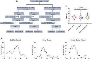 Prognostic significance of pretreatment red blood cell distribution width in primary diffuse large B-cell lymphoma of the central nervous system for 3P medical approaches in multiple cohorts.