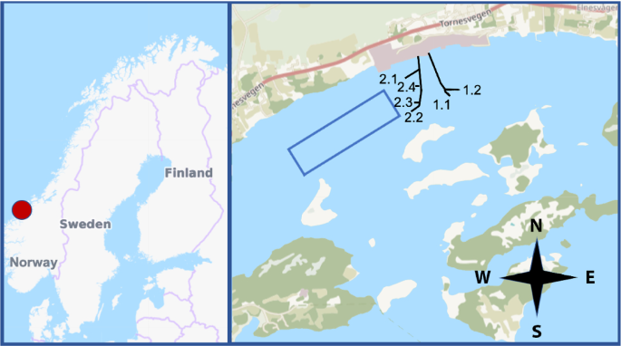 Dynamic stochastic modeling for adaptive sampling of environmental variables using an AUV