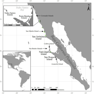 The genetic diversity, phylogeography, and population structure of Pacific harbor seals reveal isolation at the southern end of their distribution