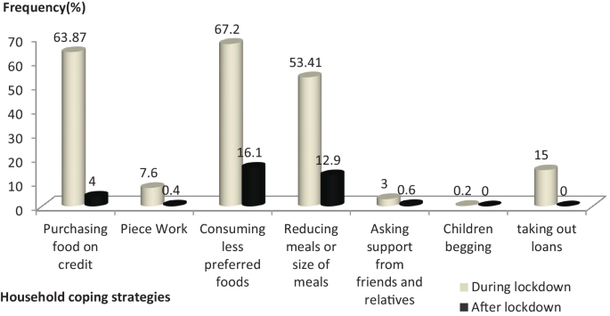 COVID-19, food coping strategies and households resilience: the case of informal sector in Burkina Faso