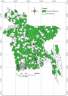 Exploring the Role of Planting Scale on Productivity and Efficiency: The Case of Rice Farms in Bangladesh