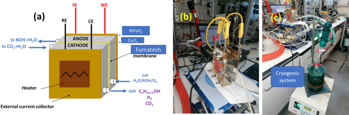 Alkaline electrolysis using CuOx cathode for the conversion of carbon dioxide into liquid fuels