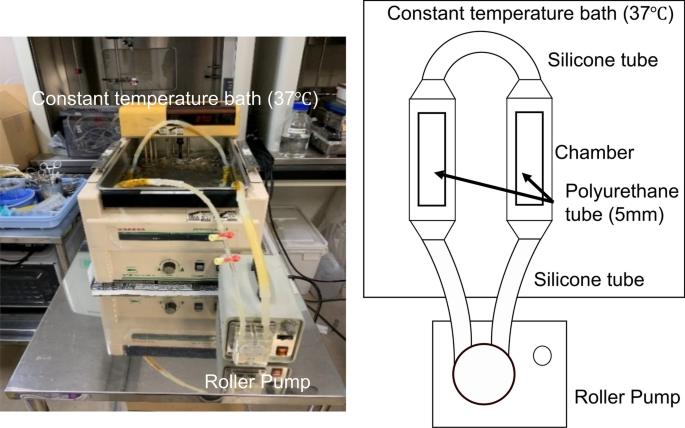 Diamond-like carbon coating to inner surface of polyurethane tube reduces Staphylococcus aureus bacterial adhesion and biofilm formation.