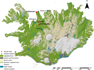 Effect of mineral soil constituents on carbon characteristics of peatlands in aeolian environments of Iceland