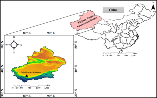 Evaluating Climate Change Impacts on Cotton Phenology and Yield Under Full and Deficit Irrigation Conditions in an Extremely Arid Oasis