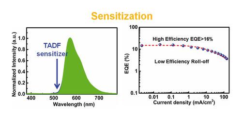 Sensitized Fluorescence Organic Light-Emitting Diodes with Reduced Efficiency Roll-Off