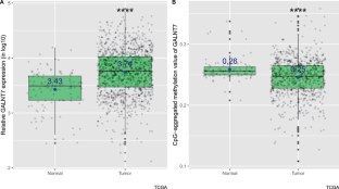 The expression of O-linked glycosyltransferase GALNT7 in breast cancer is dependent on estrogen-, progesterone-, and HER2-receptor status, with prognostic implications.