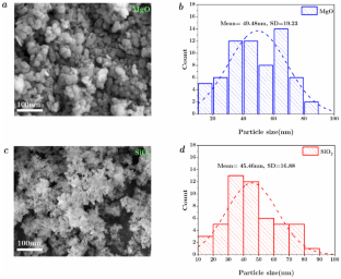 Estimation of the thermal properties of MgO-SiO2/water hybrid nanofluid and development of novel thermo-economically viable model for heat transfer applications