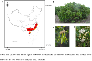 Development and characterization of 29 InDel markers from the Mangrove Kandelia obovata genome using a resequencing dataset