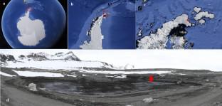 Fungal diversity in a sediment core from climate change impacted Boeckella Lake, Hope Bay, north-eastern Antarctic Peninsula assessed using metabarcoding