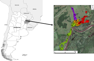 Influence of Weather Conditions on Sleeping Patterns and Selection of Foliage Cover of Sleeping Trees in Black-and-Gold, Howler Monkeys (Alouatta caraya) in Northern Argentina