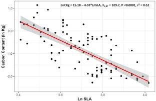 Specific leaf area (SLA) serves as a proxy to predict total carbon content in understory individuals of the neotropical canopy palm Socratea exorrhiza