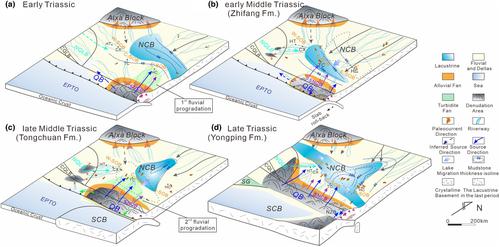 Triassic temporal and spatial migration of the provenance along the South Ordos Basin: Insights into the tectonic evolution of Eastern Palaeo-Tethys Ocean