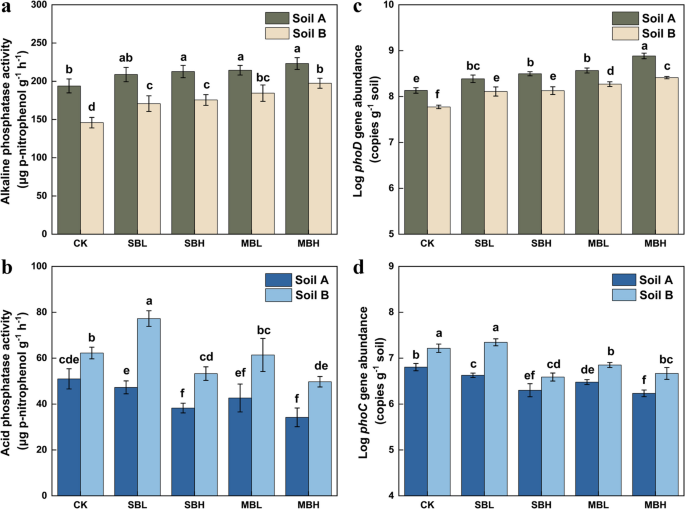 Biochar reduces colloidal phosphorus in leachate by regulating phoD- and phoC-harboring microbial communities during drying/rewetting cycles