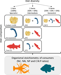 Different impacts of diet composition on the stoichiometric traits of two freshwater species