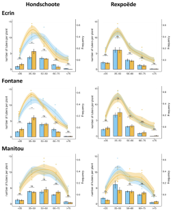 Effects of field inoculation of potato tubers with the arbuscular mycorrhizal fungus Rhizophagus irregularis DAOM 197198 are cultivar dependent