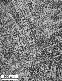 Effect of Hydrogen on the Static Crack Resistance of 05Kh13N8M3 Cast Martensitic Steel