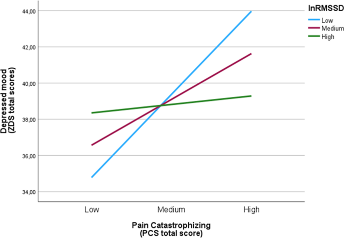 The moderating effect of resting heart rate variability on the relationship between pain catastrophizing and depressed mood: an empirical study.