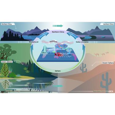 Sahara's surface transformation forced an abrupt hydroclimate decline and Neolithic culture transition in northern China