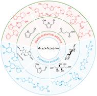 Acetalization strategy in biomass valorization: a review