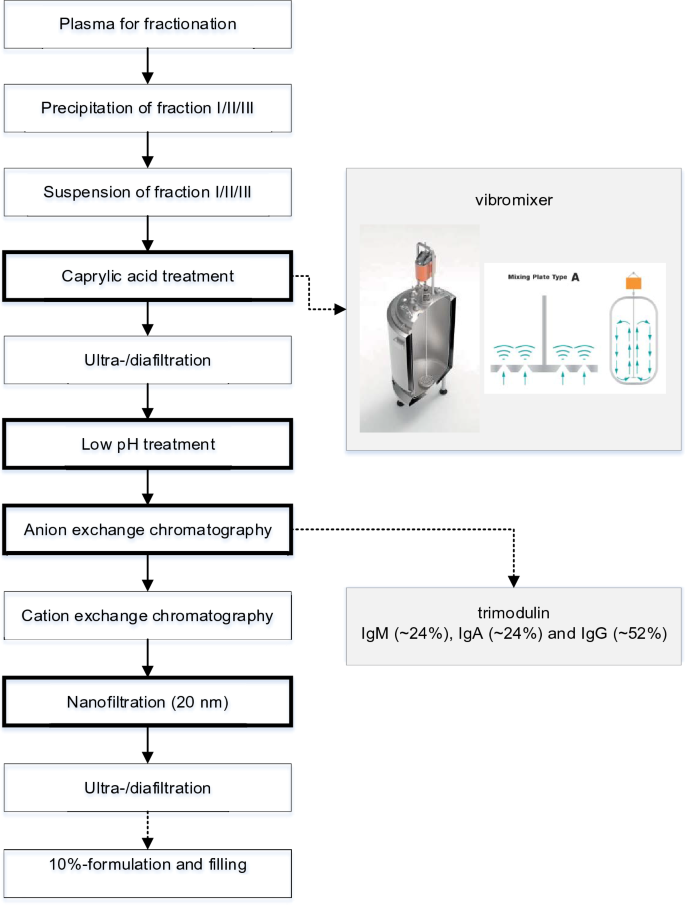 Biochemical Characterization of a New 10% IVIG Preparation [IgG Next Generation (BT595)/Yimmugo<sup>®</sup>] Obtained from a Manufacturing Process Preserving IgA/IgM Potential of Human Plasma.