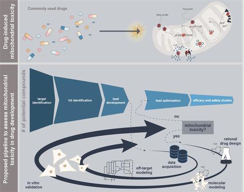 Time to Change: A Systems Pharmacology Approach to Disentangle Mechanisms of Drug-Induced Mitochondrial Toxicity.