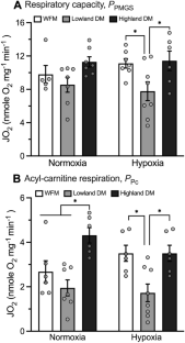 Function of left ventricle mitochondria in highland deer mice and lowland mice.