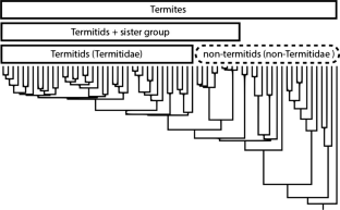 A call to termitologists: it is time to abandon the use of “lower” and “higher” termites