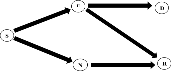 Path integral control of a stochastic multi-risk SIR pandemic model.