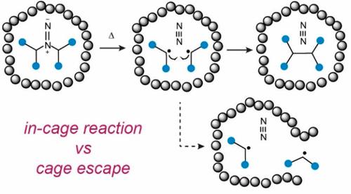 Influence of Cage Effects in Directing the Outcome of C–X Bond Forming Reactions