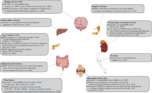 Transcriptional Coactivator BOB1 (OBF1, OCA-B) in Autoimmune Diseases