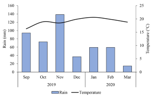 Soil Microbial Biomass, N Nutrition Index, and Yield of Maize Cultivated Under eucalyptus Shade in Integrated crop-livestock-forestry Systems