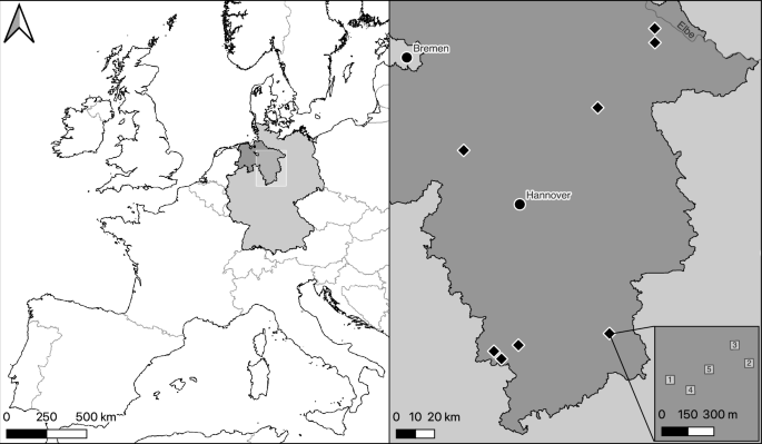 Douglas fir and Norway spruce have similar effects on small mammal density, but not survival, in Central European managed forests