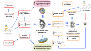 Metabolic Syndrome and Cardiac Remodeling Due to Mitochondrial Oxidative Stress Involving Gliflozins and Sirtuins.