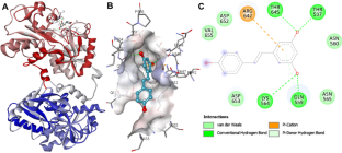 Investigating molecular interactions between human transferrin and resveratrol through a unified experimental and computational approach: Role of natural compounds in Alzheimer’s disease therapeutics