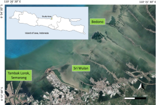 Responding to sea level rise: challenges and opportunities to govern coastal adaptation strategies in Indonesia