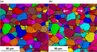 Digital Protocols for Statistical Quantification of Microstructures From Microscopy Images of Polycrystalline Nickel-Based Superalloys