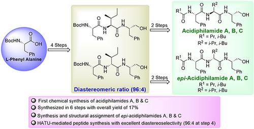 Synthesis of Acidiphilamide A–C: Secondary Metabolites from the Genus Streptacidiphilus