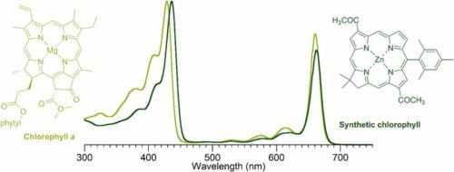 Beyond green with synthetic chlorophylls – Connecting structural features with spectral properties