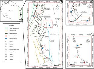 Architectural element variations across the offshore basin of Tanzania continental margin: influence of local factors in sedimentary processes and their implications for petroleum prospectivity