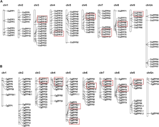 Genome-wide identification of the C2H2-Zinc finger gene family and functional validation of CsZFP7 in citrus nucellar embryogenesis.