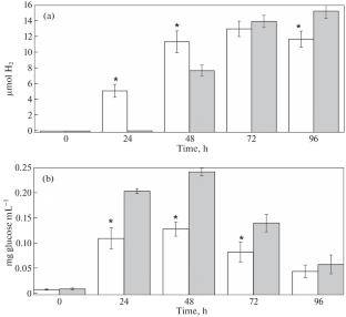 Influence of Fermentation Reactions on Continuous Hydrogen Photoproduction by Microalga Chlamydomonas reinhardtii under Sulfur Deficiency