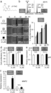 Δ<sup>9</sup>-Tetrahydrocannabinol stimulation of estrogen receptor-positive MCF-7 breast cancer cell migration: Interfering interaction with the estrogenic milieu.