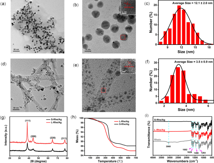 The shape-dependent inhibitory effect of rhein/silver nanocomposites on porcine reproductive and respiratory syndrome virus