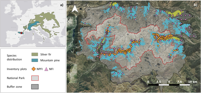 Monitoring montane-subalpine forest ecotone in the Pyrenees through sequential forest inventories and Landsat imagery