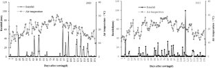 Effects of Surface Mulching on Soil Water Temperature, Physiological Characteristics and Yield of Maize