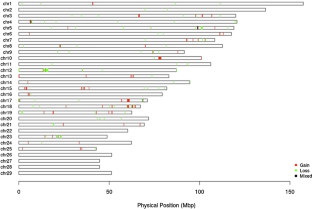 Whole-genome sequencing and genomic analysis of Norduz goat (Capra hircus).