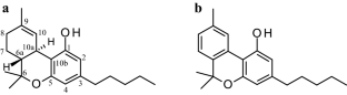 Short-term stability of a small amount of neat Δ<sup>9</sup>-tetrahydrocannabinol.