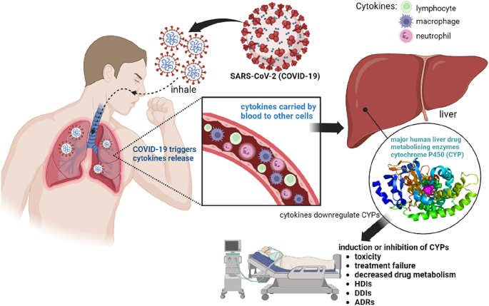 Role of Cytochrome P450 2C9 in COVID-19 Treatment: Current Status and Future Directions.